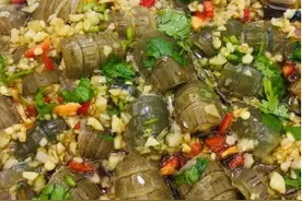 广东潮汕美食“海鲜生腌”做法大全，在家也能做图片