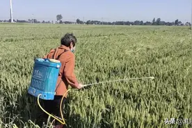 农药兑水配比简单释义图片