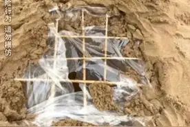 母亲晒孩子沙滩做竹签陷阱引争议，真只是恶作剧？图片