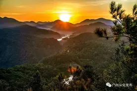 非凡十年｜从化良口镇：坚守绿水青山，走好绿色发展之路图片