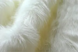 耳朵里的发霉长毛图片