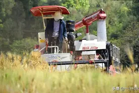 麦收收割机大涨价！今年割一亩多少钱？3个原因很现实图片