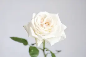 人这辈子，只有看透这5个真相，才算赢了图片