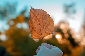 一个人开始走大运的3个征兆图片