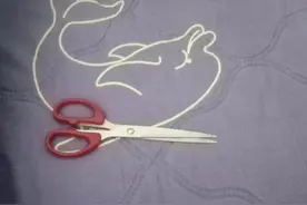 这是不是灵异事件图片