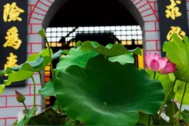 “孙刘二祖”药王孙思邈图片