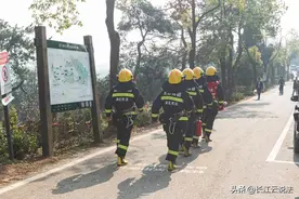 文明祭祀 勿忘防火 武汉消防倡导用鲜花祭祀图片