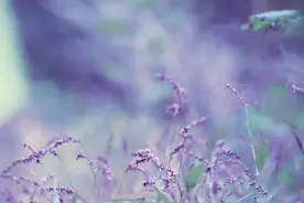 异性之间，女生主动这么称呼你，其实就是想和你产生关系图片