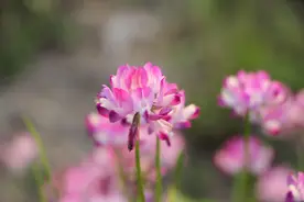 惜命的最好方式：少言，寡欲，退群图片