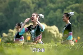 六堡茶与民间艺术：古老经典的采茶戏图片