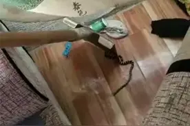 广西男子在沙发上睡午觉，惨遭银环蛇袭击！毒性是眼镜王蛇的10倍图片