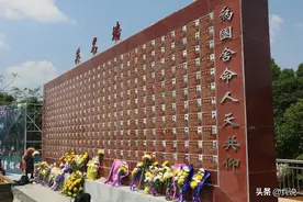 对越还击50军219人被俘，3名副军遭处分，和撤编有多大关联？图片