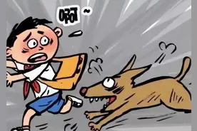 孩子故意逗狗被咬伤，狗的饲养人需要承担什么责任？图片