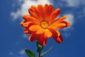 让特岗教师享受乡村生活补助理所应当，后继有人是乡村教育的关键图片