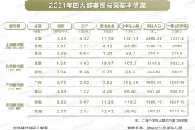 中国第一都市圈，是谁？图片