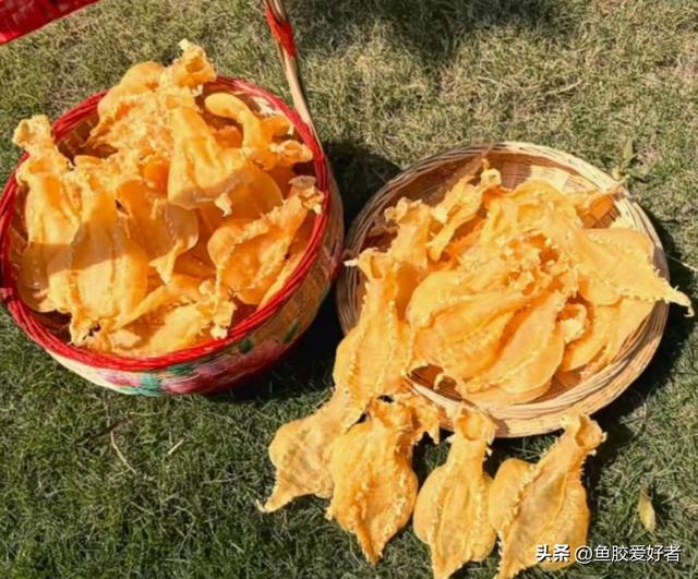 经常加班的人吃花胶的好处 经常吃花胶是否能去斑