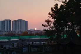 高考语言运用题型专练之词语、衔接、语病（含答案解析）图片