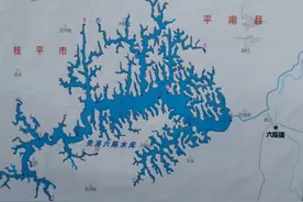 贵港六陈水库治理水环境，修复湿地生态引来飞鸟多停留图片