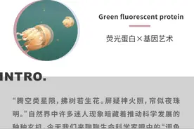 一只水母触发的科学光亮图片