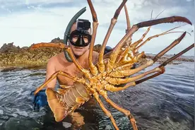 活捉深海大龙虾，现烤，刺身新鲜美味，你想吃吗图片