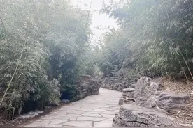 晨跑有悟：人生百态，融入其中，即为自己图片