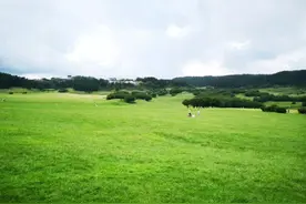 重庆这10个高山露营地，和清凉作伴远离高温图片
