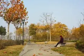 我的保姆生涯一雇主的小算盘图片