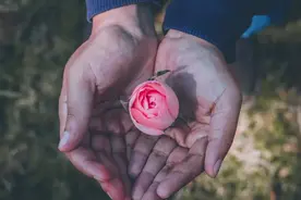 人生没有走不出的困境，只有不愿愈合的心境图片