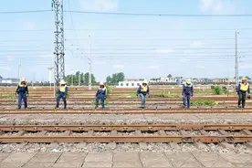 铁路上长的“蘑菇”，不能手采，只能脚踩！图片