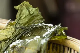 海带上析出的白色物是什么？图片