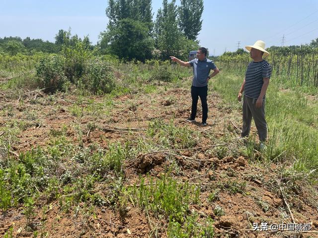 高效推进项目征地工作 助力优化营商环境