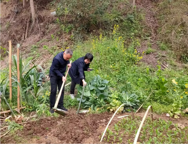 四川省民生研究会新媒体中心-官网