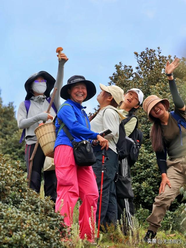 夏日清凉户外，双廊木香坪三种玩法，你更喜欢哪一种？（附攻略）