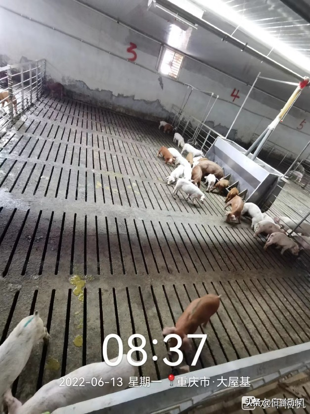 涓€鍒欎竾鑳藉師锛堝鏂规皑鍩洪吀锛夋敞灏勬恫璋冪悊寮变粩鐚殑瀹炶瘉妗堜緥