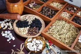 肾精亏虚？一味补肾良方——十子填精丸图片