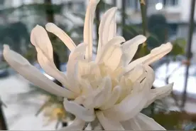 爸爸的最爱图片