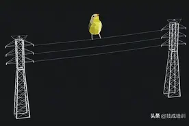 为啥小鸟站电线上为啥不会被电？但人一碰就会被电抽搐？图片