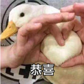 奥特曼可以靠打怪兽拿诺奖吗？