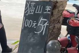 100元5个榴莲，15元1个菠萝蜜！广西自己的“水果货币”再次震惊网友！图片