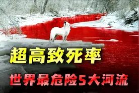 你见过地球体型最大的蛇吗？揭秘世界最致命的五大河流图片