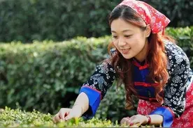 农村俗语老话“娶妻看手掌，嫁夫看肩膀”啥意思？有道理吗？图片