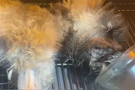 布洛芬自由？湖北男子一次吞3粒，天津小狗误吞6粒，超量结果危险图片