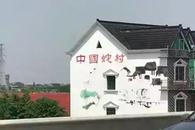 命大！浙江80岁大爷被烙铁头咬伤打死自救，毒蛇中的“烂肉王”图片