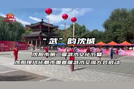 太极拳、通背拳、八极拳……属于沈阳市民的“武林大会”来了图片