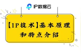 「IP技术」基本原理和特点介绍图片