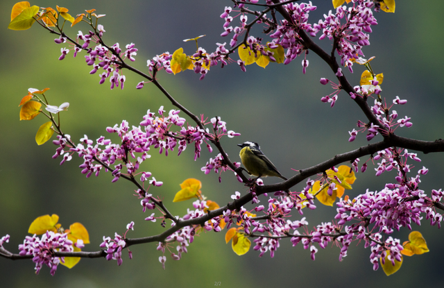 四川省民生研究会新媒体中心-官网