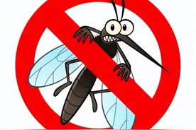 蚊子吸了含有HIV病毒的血液再来咬我，我会感染HIV吗？图片