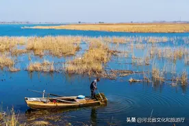 微游河北（61）｜河北任丘：春到白洋淀图片