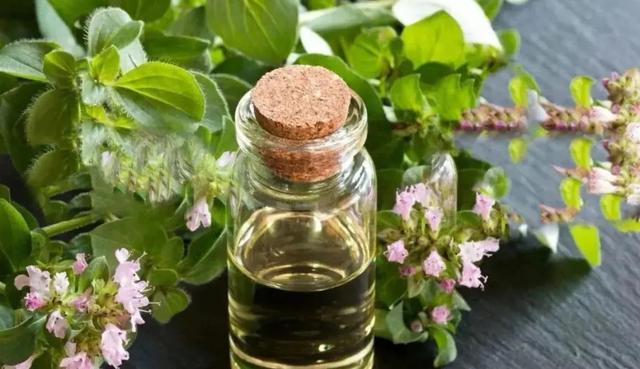 莲清世家---产品介绍