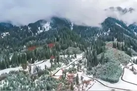 面对剑戟，晏子绝不依从；走时对车夫说：把马赶慢些，才可保住命图片